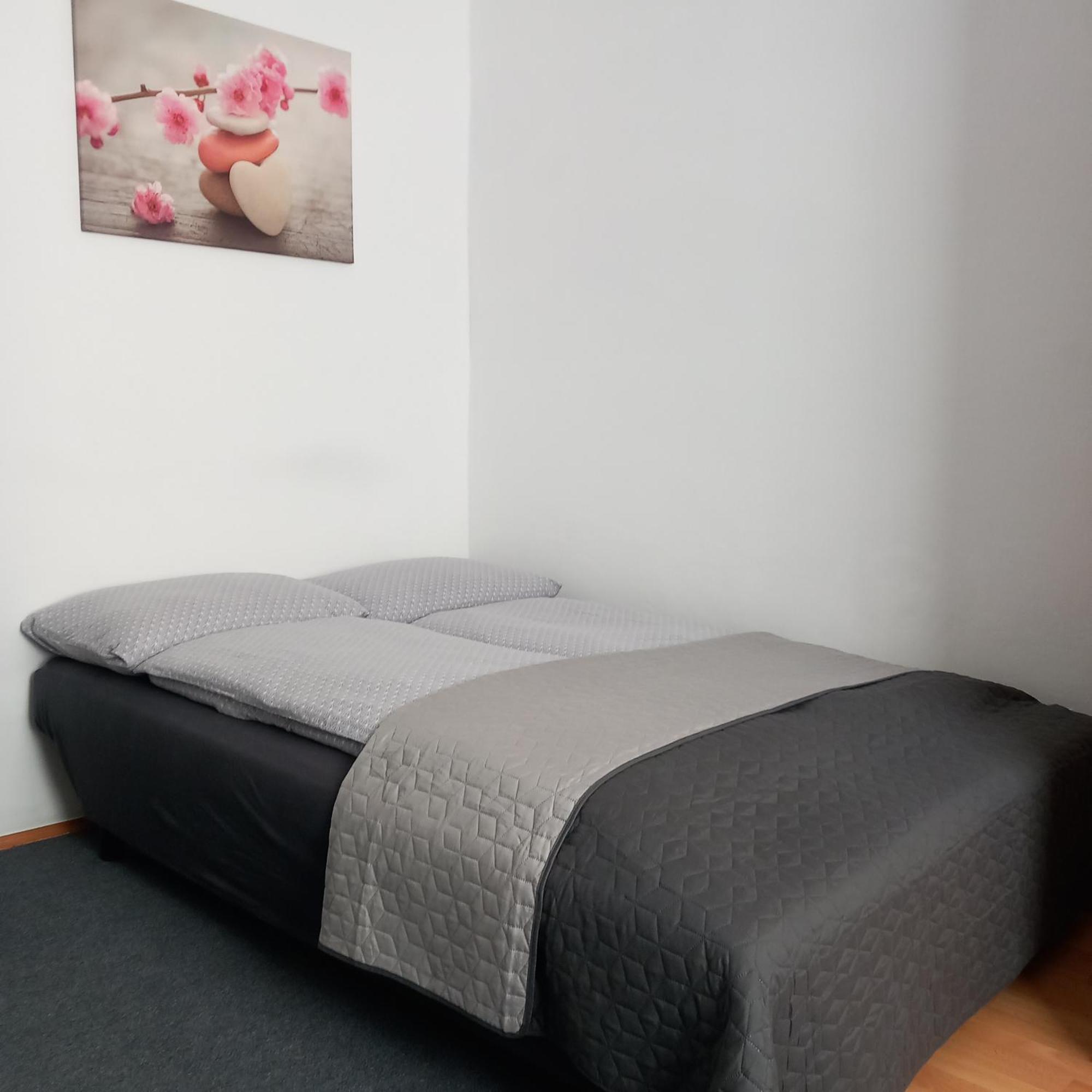 Apartma Ella Lovrenc na Pohorju 外观 照片